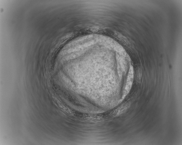 X0000081281105200701251621