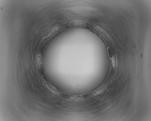 X0000081281107200701251621