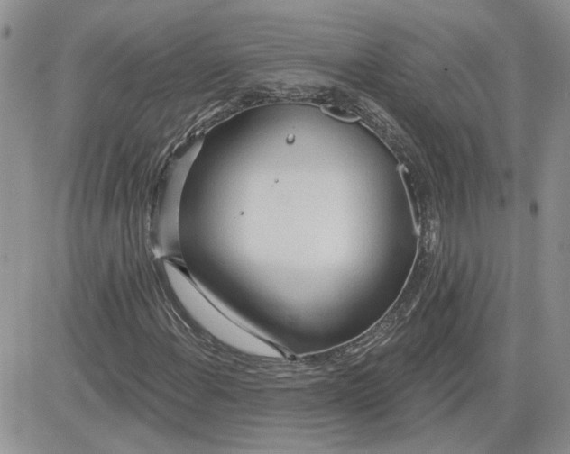 X0000081281108200701251621