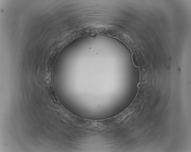 X0000081281109200701251621