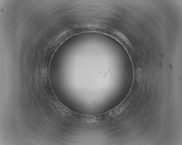 X0000081281111200701251621