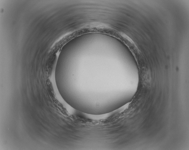 X0000081281112200701251621