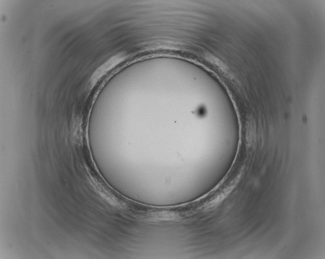 X0000081281113200701251621