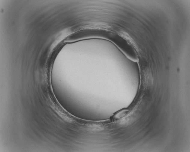 X0000081281114200701251621