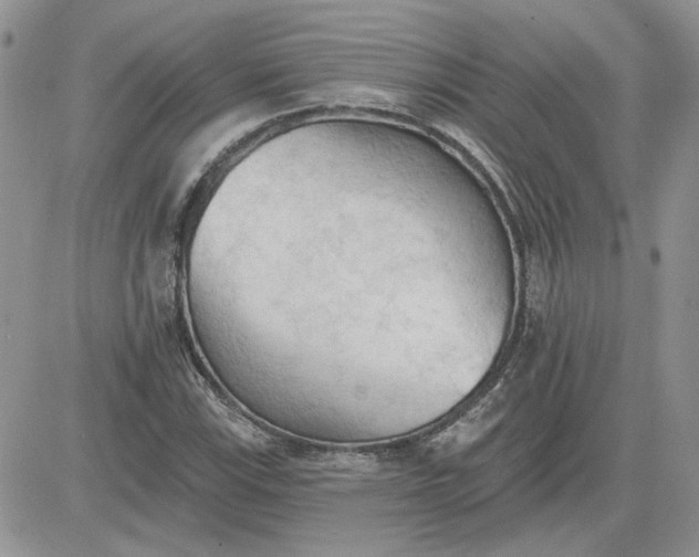 X0000081281115200701251621