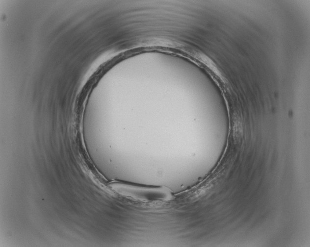 X0000081281116200701251621