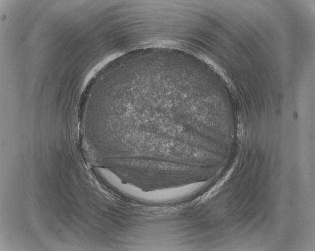 X0000081281117200701251621