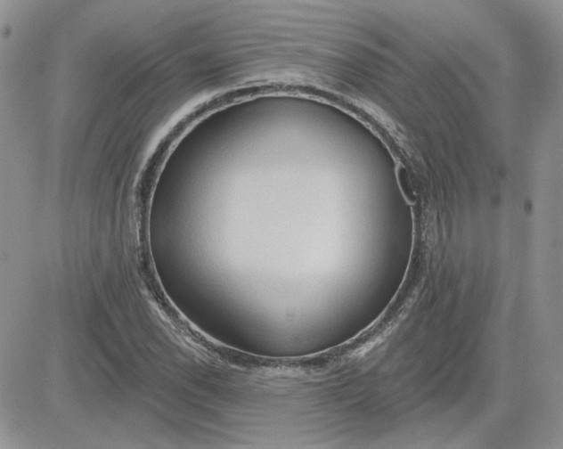 X0000081281118200701251621