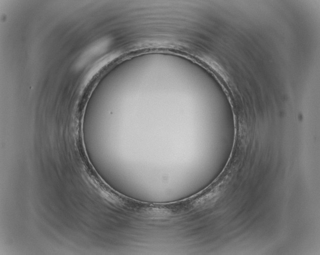 X0000081281119200701251621