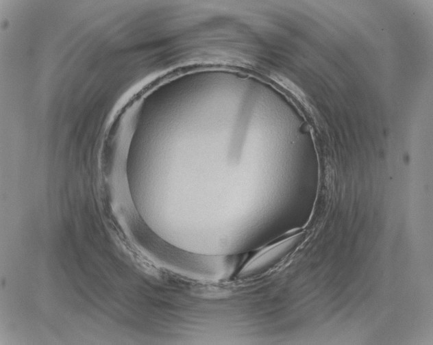 X0000081281120200701251621