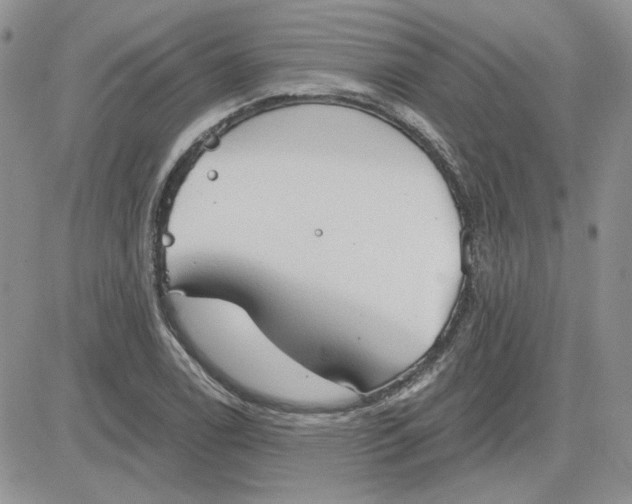 X0000081281122200701251621