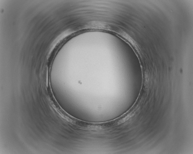 X0000081281123200701251621