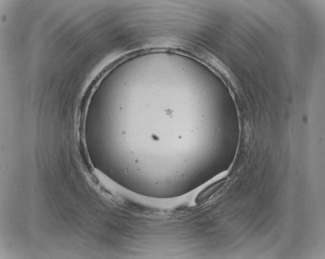 X0000081281124200701251621