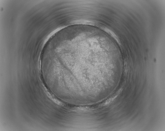 X0000081281125200701251621