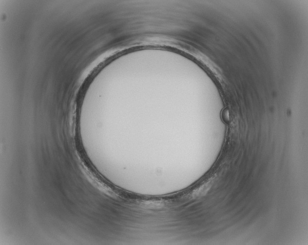 X0000081281126200701251621