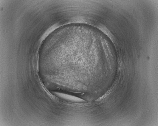 X0000081281127200701251621