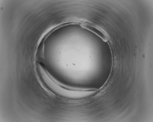 X0000081281128200701251621