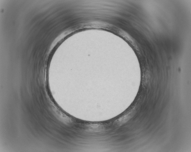 X0000081281130200701251621