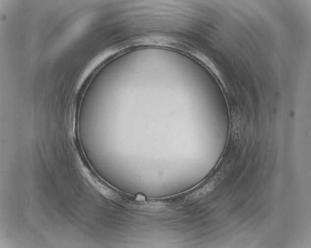 X0000081281131200701251621