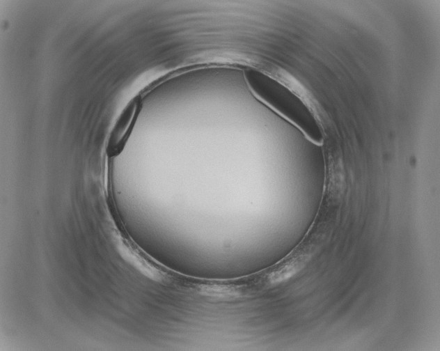 X0000081281132200701251621