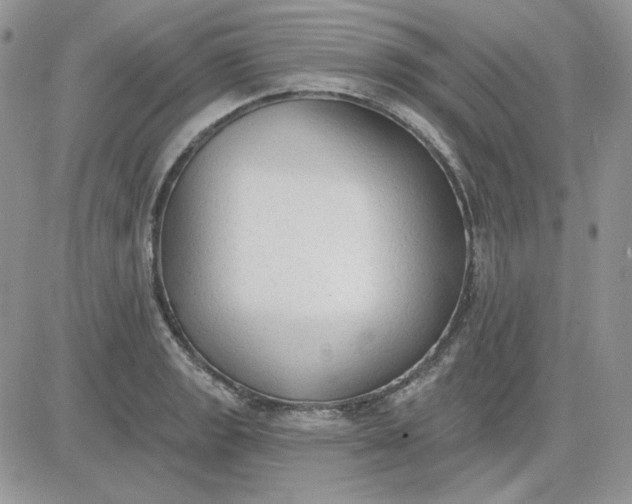 X0000081281133200701251621