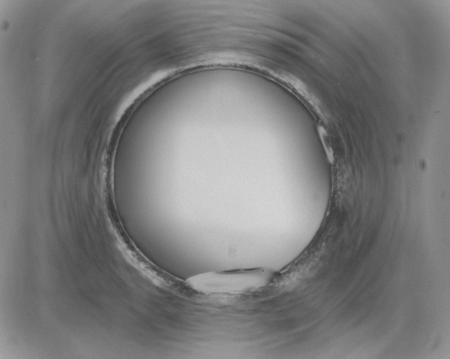 X0000081281134200701251621