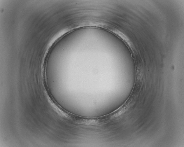 X0000081281135200701251621