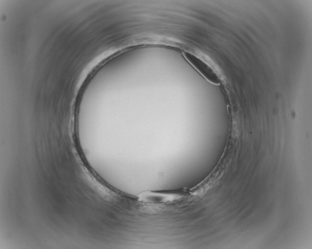 X0000081281136200701251621