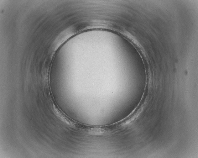 X0000081281137200701251621