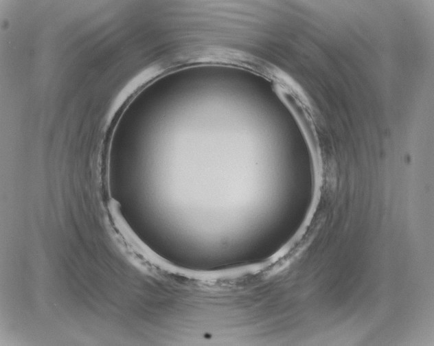 X0000081281138200701251621