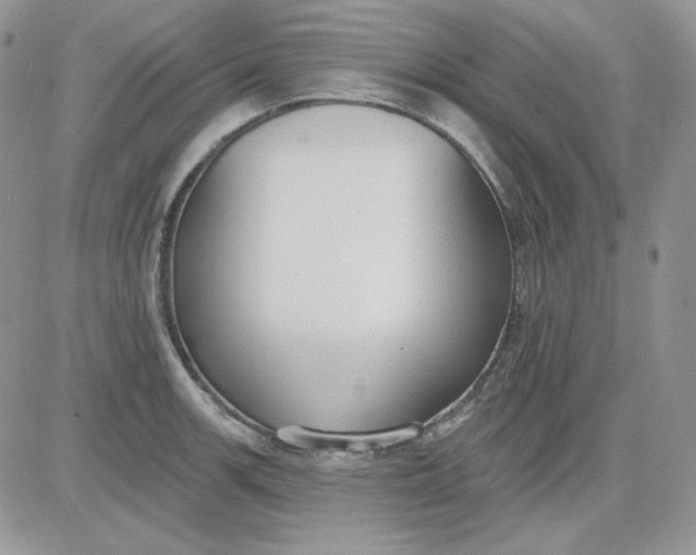 X0000081281139200701251621