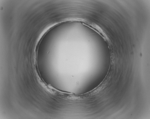 X0000081281140200701251621