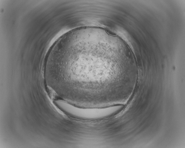 X0000081281141200701251621