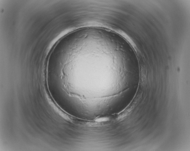 X0000081281142200701251621