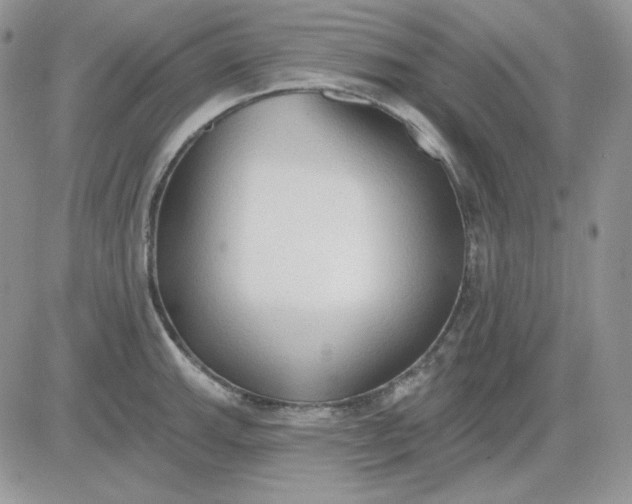 X0000081281143200701251621