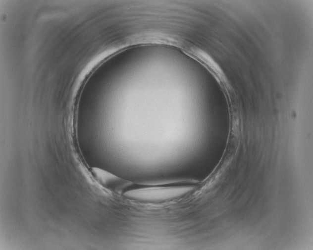 X0000081281144200701251621