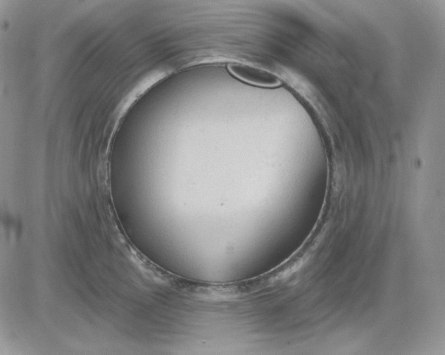 X0000081281145200701251621