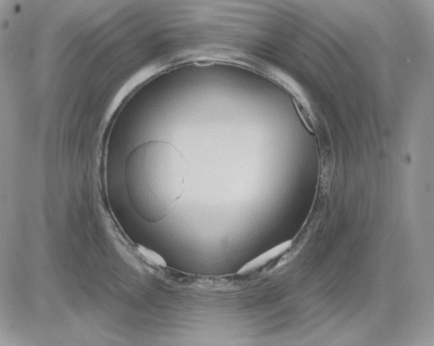 X0000081281146200701251621