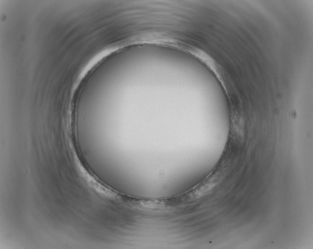 X0000081281147200701251621