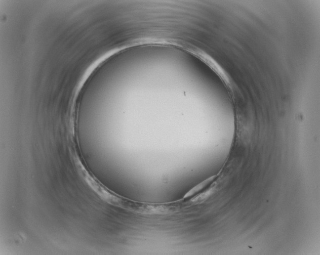 X0000081281148200701251621