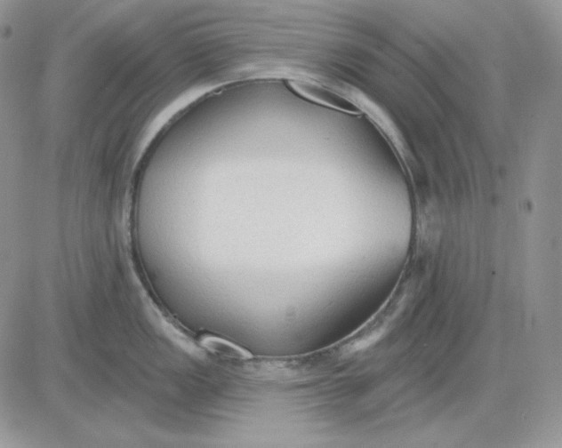 X0000081281149200701251621