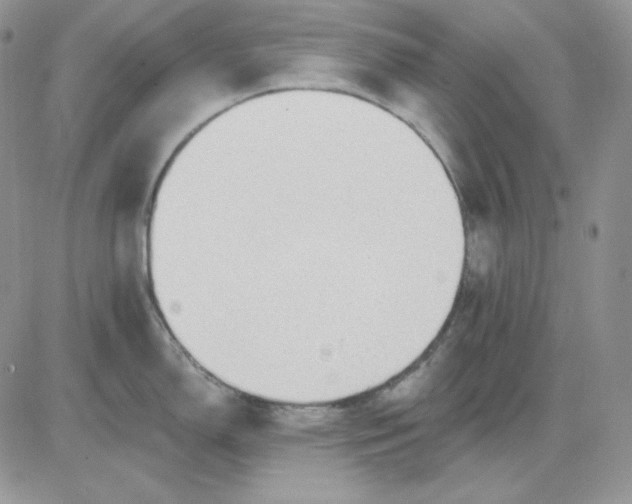 X0000081281150200701251621