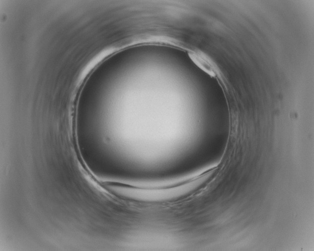 X0000081281151200701251621