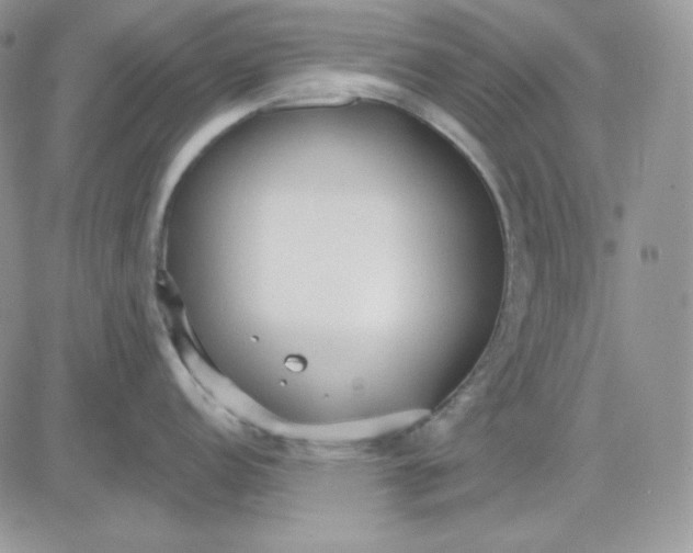 X0000081281152200701251621