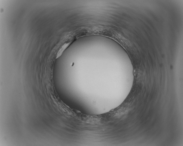 X0000081281153200701251621