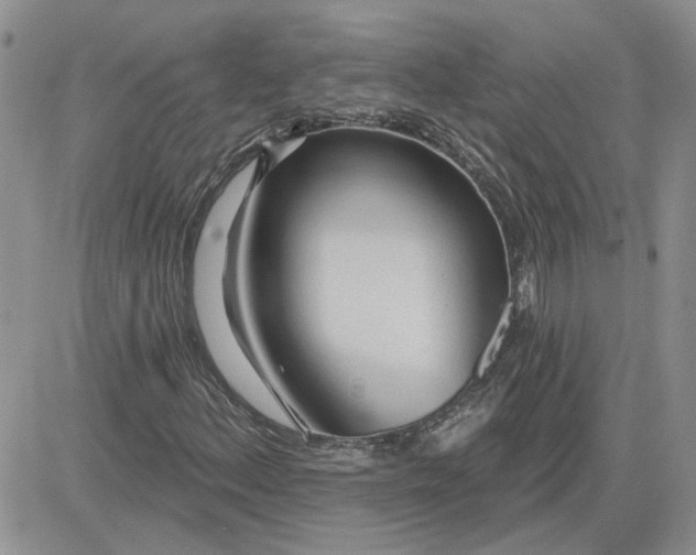 X0000081281156200701251621