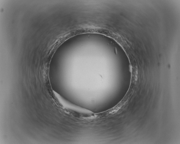 X0000081281157200701251621