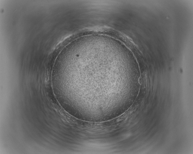 X0000081281158200701251621