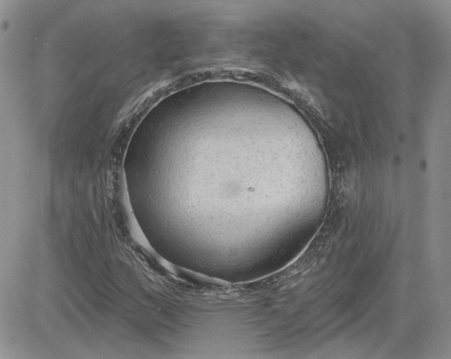 X0000081281159200701251620