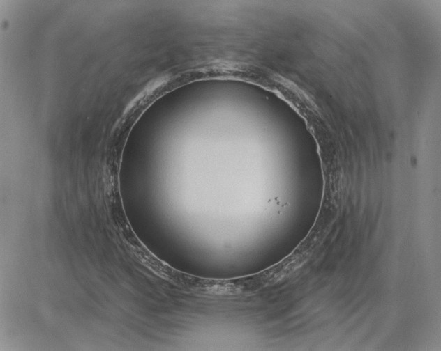 X0000081281160200701251620